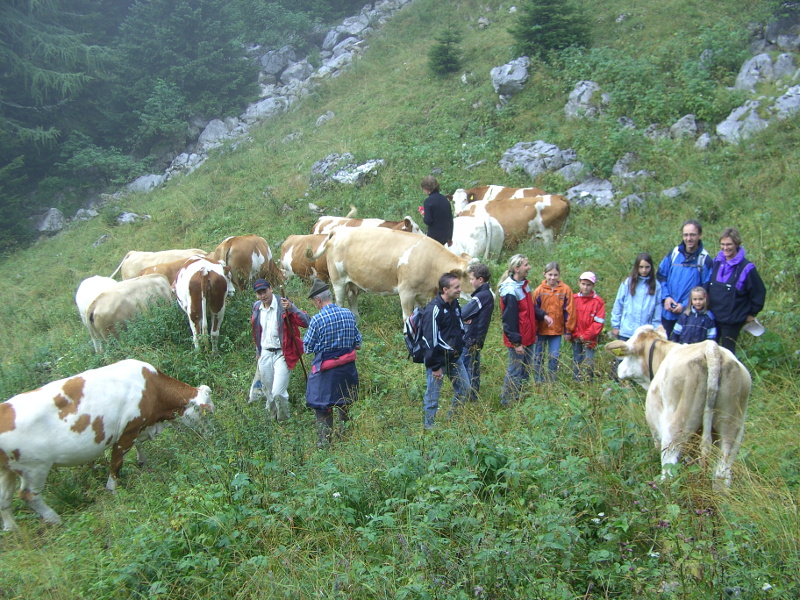 Baden, Wandern und Radfahren